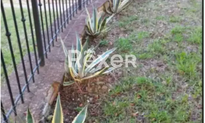 Rexer-La-Pevole-Casale-in-vendita-in-Vocabolo-Maeselle-a-Piegaro-Altro