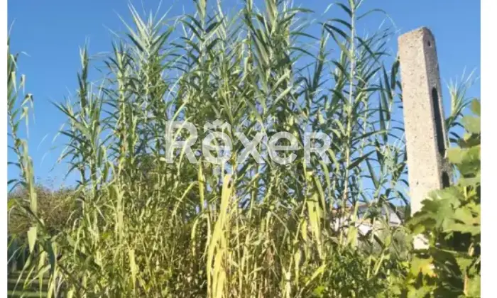 Rexer-La-Pevole-Casale-in-vendita-in-Vocabolo-Maeselle-a-Piegaro-Altro