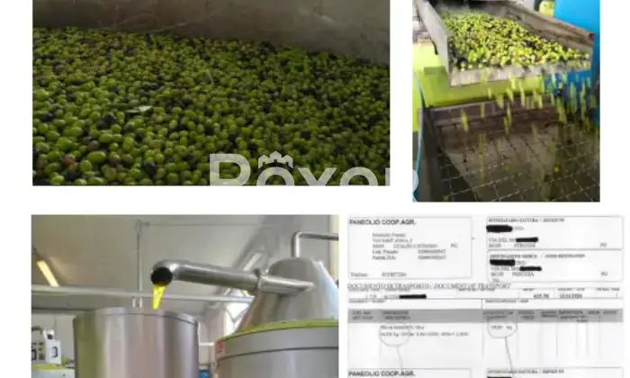 Rexer-La-Pevole-Casale-in-vendita-in-Vocabolo-Maeselle-a-Piegaro-Altro