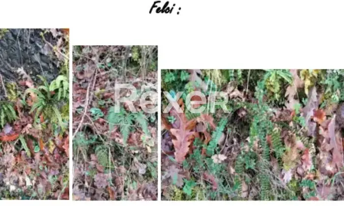 Rexer-La-Pevole-Casale-in-vendita-in-Vocabolo-Maeselle-a-Piegaro-Altro