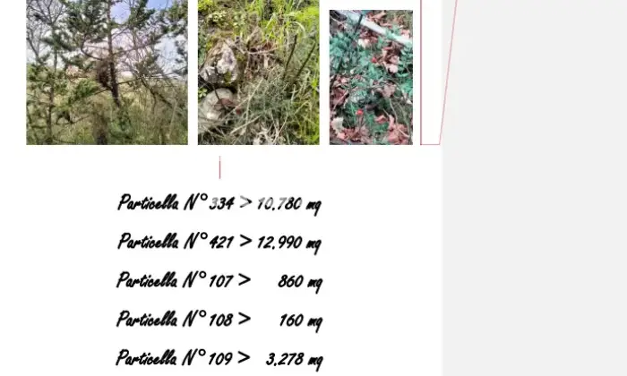 Rexer-La-Pevole-Casale-in-vendita-in-Vocabolo-Maeselle-a-Piegaro-Altro