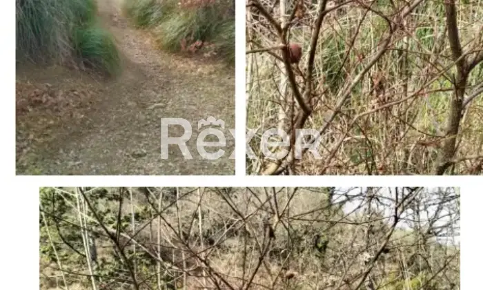 Rexer-La-Pevole-Casale-in-vendita-in-Vocabolo-Maeselle-a-Piegaro-Altro