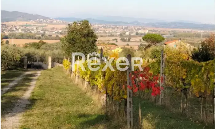 Rexer-La-Pevole-Casale-in-vendita-in-Vocabolo-Maeselle-a-Piegaro-Altro