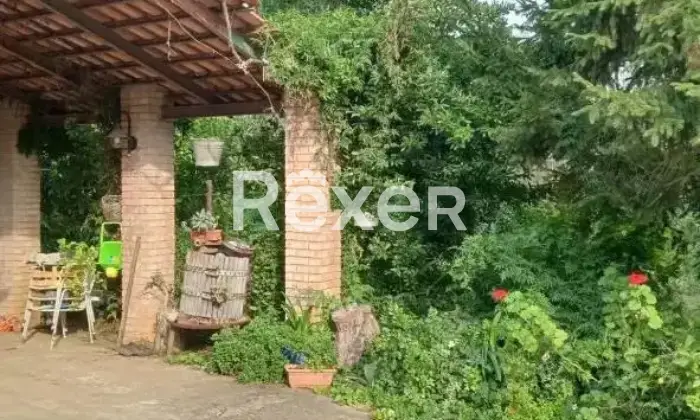 Rexer-Pizzo-Casa-indipendente-di-mq-con-ampi-spazi-terrazzi-garage-e-terreno-Altro