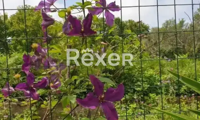 Rexer-Pizzo-Casa-indipendente-di-mq-con-ampi-spazi-terrazzi-garage-e-terreno-Altro