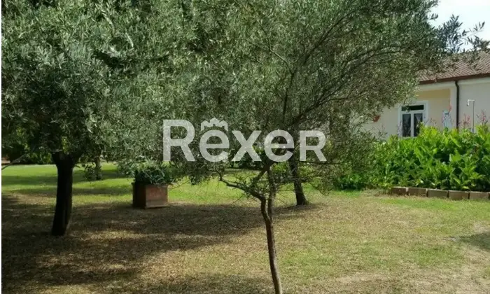 Rexer-Isola-di-Capo-Rizzuto-Vendesi-villa-immersa-nel-verde-a-pochi-passi-dal-mare-ad-Isola-di-Capo-Rizzuto-Altro