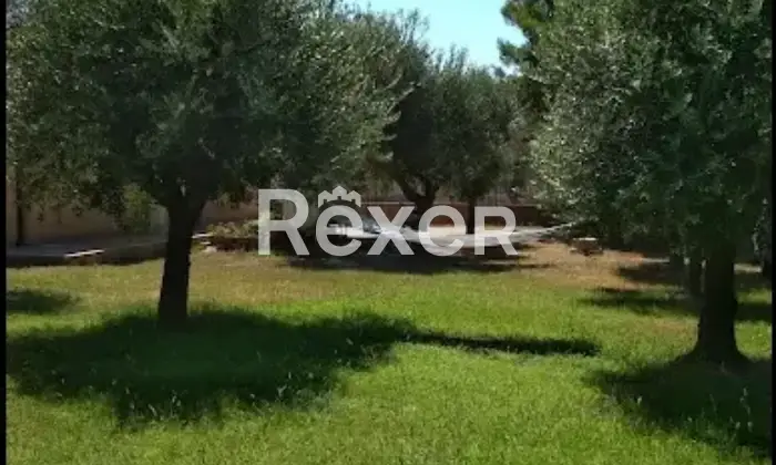 Rexer-Isola-di-Capo-Rizzuto-Vendesi-villa-immersa-nel-verde-a-pochi-passi-dal-mare-ad-Isola-di-Capo-Rizzuto-Altro