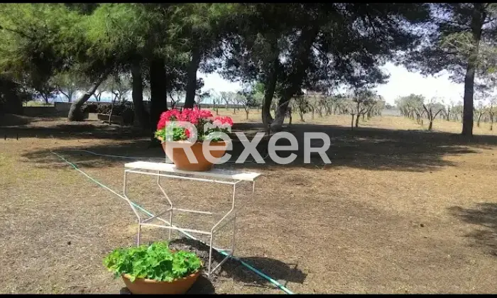 Rexer-Isola-di-Capo-Rizzuto-Vendesi-villa-immersa-nel-verde-a-pochi-passi-dal-mare-ad-Isola-di-Capo-Rizzuto-Altro