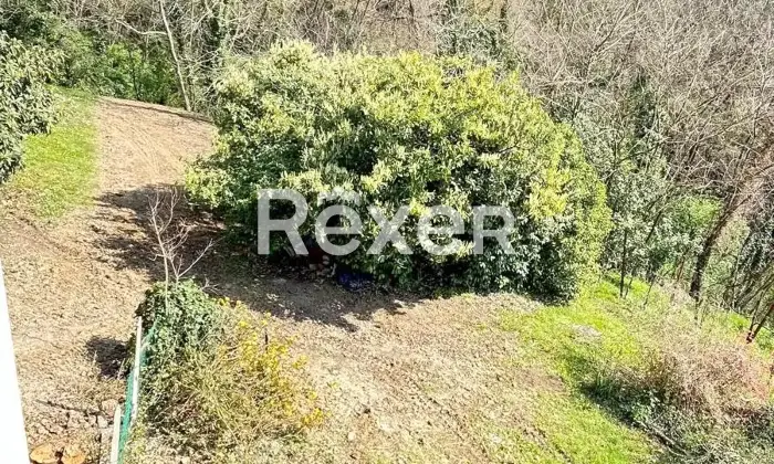 Rexer-Susegana-Bifamiliare-con-grande-giardino-e-fabbricato-indipendente-valorizzabile-Altro