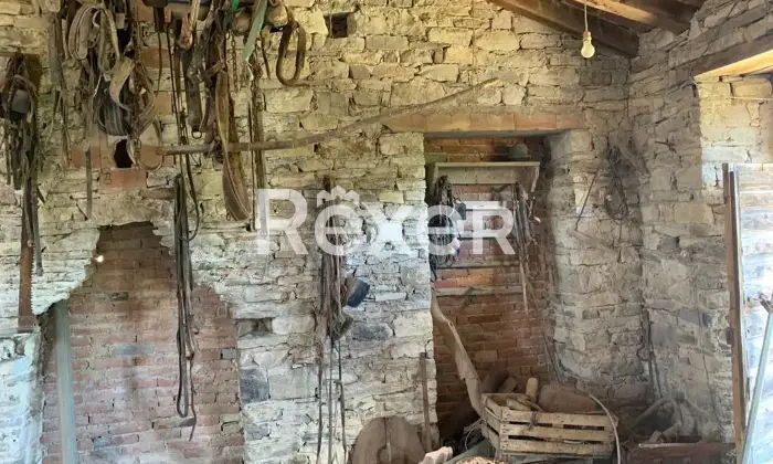 Rexer-Salino-Rustico-storico-su-due-livelli-con-ampio-terreno-coltivabile-grande-potenziale-di-recupero-Altro