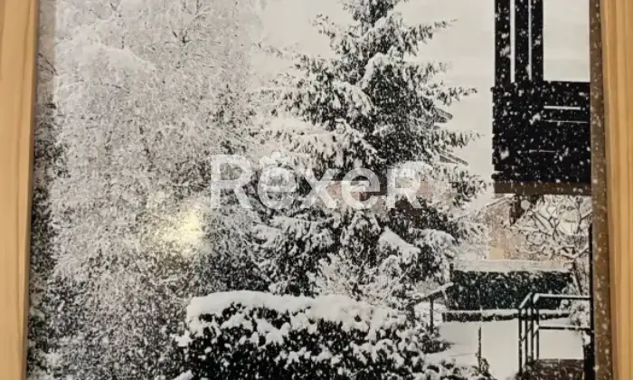 Rexer-Gandellino-Appartamento-in-vendita-in-via-Casa-Alta-a-Gandellino-Altro