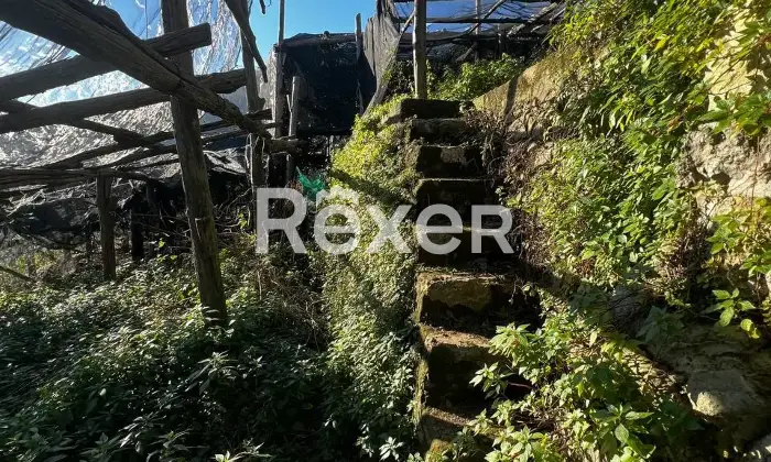 Rexer-Tramonti-Fabbricato-rurale-panoramico-a-Tramonti-Costiera-Amalfitana-Giardino