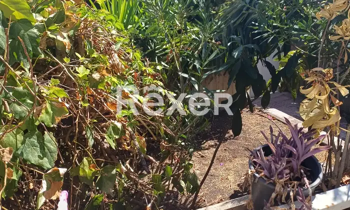 Rexer-San-Giovanni-la-Punta-VILLETTA-SCHIERA-MQ-LIVELLI-SEMINTERRATO-PIANO-RIALZATO-PIANO-Altro