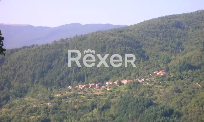 Rexer-Castel-San-Niccol-COLONICA-IN-CASENTINO-Vista