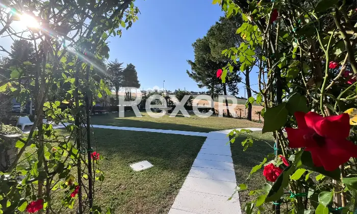 Rexer-Ostra-Vetere-Villa-in-vendita-in-Contrada-Barocco-ad-Ostra-Vetere-Altro