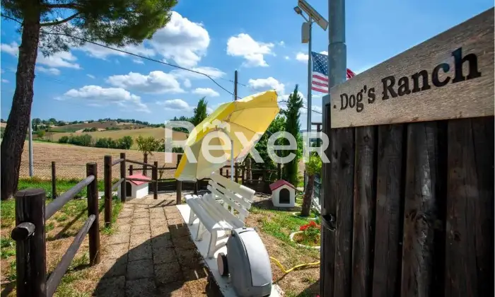 Rexer-Ostra-Vetere-Rustico-ottimamente-ristrutturato-Altro