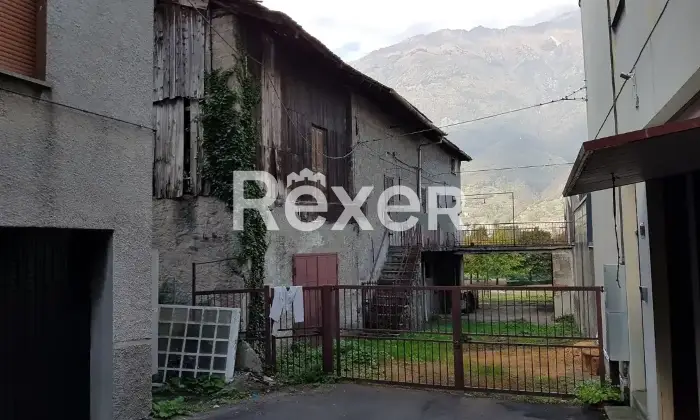 Rexer-Tirano-Terratetto-in-vendita-Altro