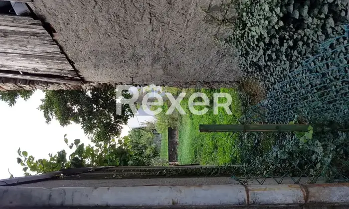 Rexer-Tirano-Terratetto-in-vendita-Altro