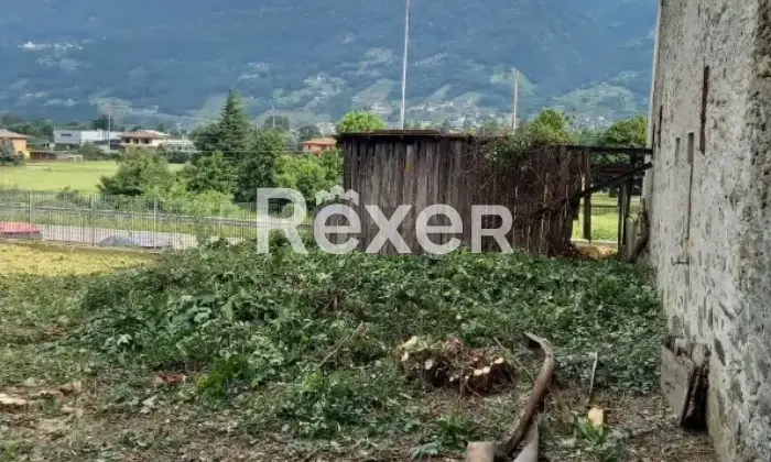 Rexer-Tirano-Terratetto-in-vendita-Altro
