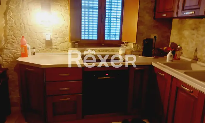 Rexer-Camaiore-Terratetto-villetta-con-giardino-Cucina