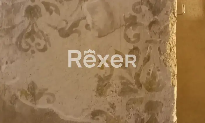 Rexer-Camaiore-Terratetto-villetta-con-giardino-Cucina