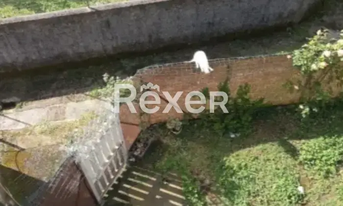 Rexer-Camaiore-Tra-mare-e-collina-terratetto-luminoso-con-giardino-privato-Giardino