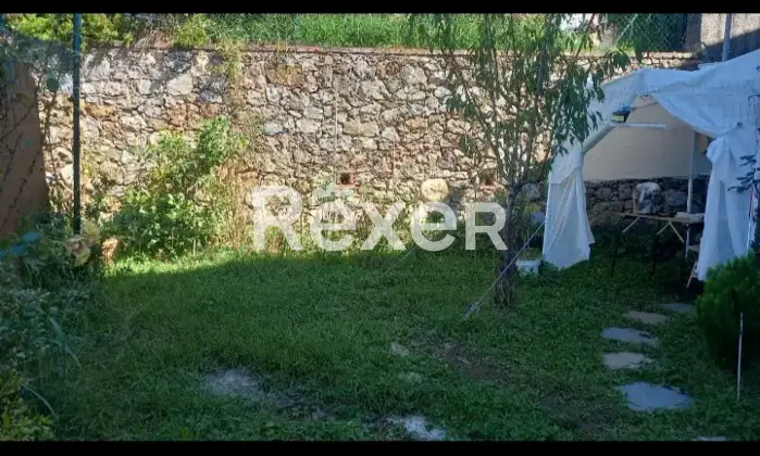 Rexer-Camaiore-Terratetto-villetta-con-giardino-Giardino