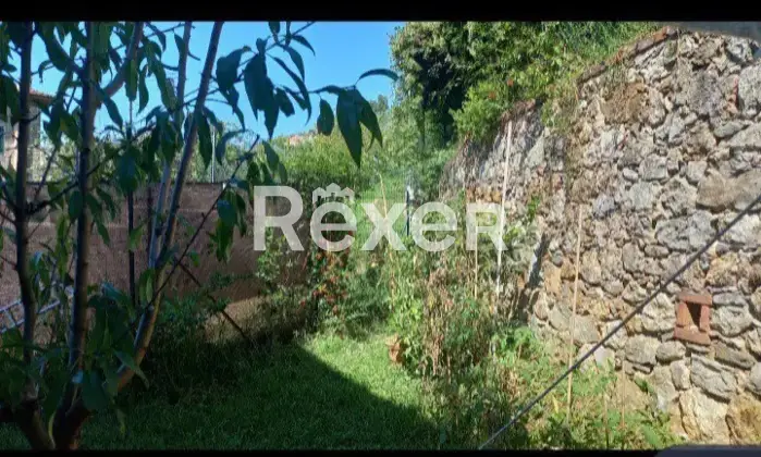 Rexer-Camaiore-Tra-mare-e-collina-terratetto-luminoso-con-giardino-privato-Giardino