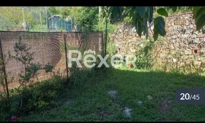 Rexer-Camaiore-Tra-mare-e-collina-terratetto-luminoso-con-giardino-privato-Giardino