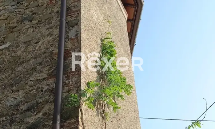 Rexer-Camaiore-Tra-mare-e-collina-terratetto-luminoso-con-giardino-privato-Giardino