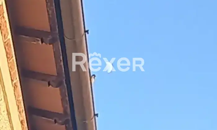 Rexer-Camaiore-Tra-mare-e-collina-terratetto-luminoso-con-giardino-privato-Altro