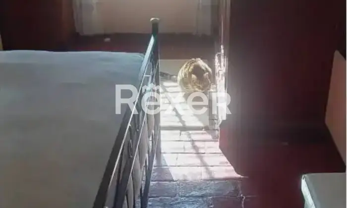 Rexer-Camaiore-Tra-mare-e-collina-terratetto-luminoso-con-giardino-privato-Altro