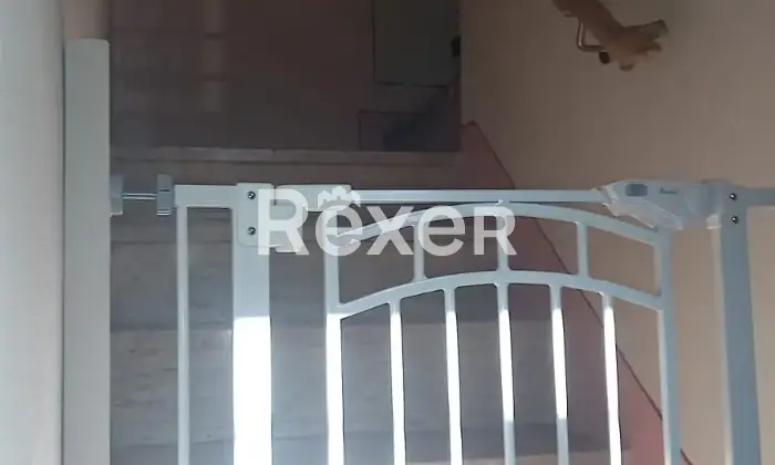 Rexer-Camaiore-Tra-mare-e-collina-terratetto-luminoso-con-giardino-privato-Altro