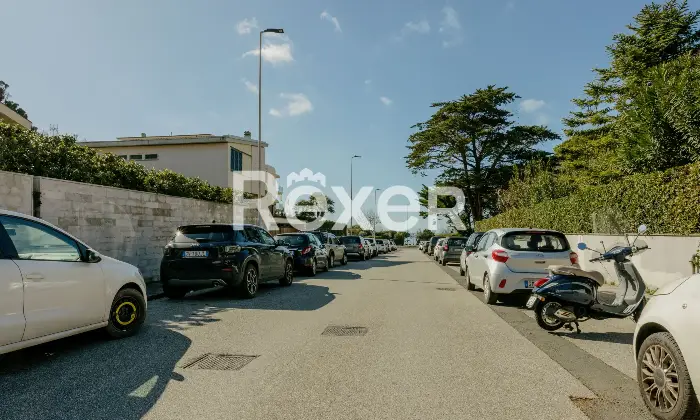 Rexer-Livorno-Villa-singola-con-piscina-Altro