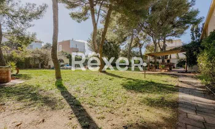 Rexer-Livorno-Villa-singola-con-piscina-Altro