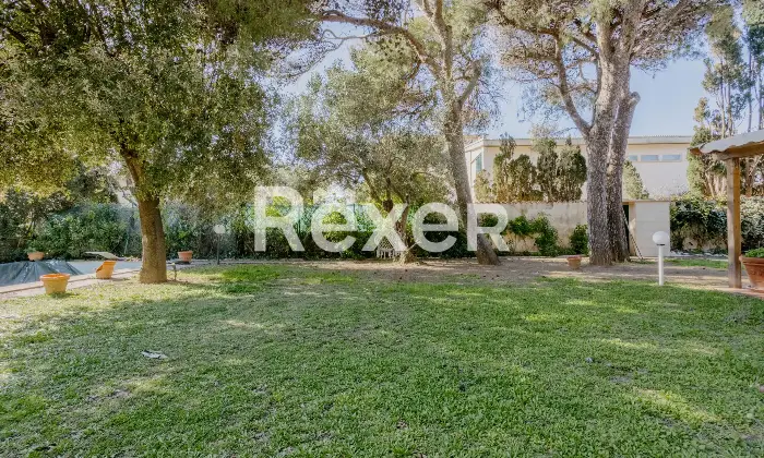 Rexer-Livorno-Villa-singola-con-piscina-Altro