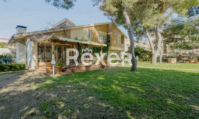 Rexer-Livorno-Villa-singola-con-piscina-Altro