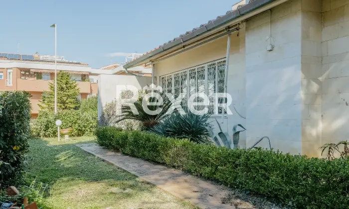 Rexer-Livorno-Villa-singola-con-piscina-Altro