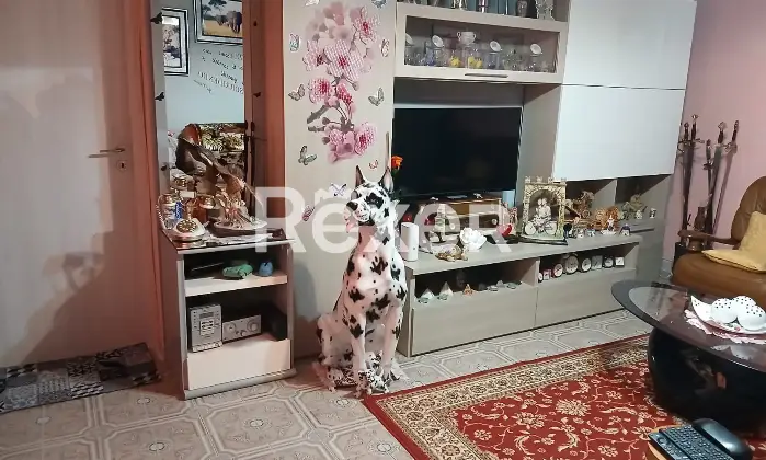 Rexer-Montecalvo-Versiggia-Villa-in-vendita-in-Frazione-Michelazza-a-Montecalvo-Versiggia-Altro