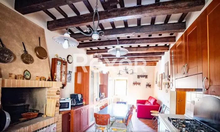 Rexer-Treia-Casa-indipendente-Altro