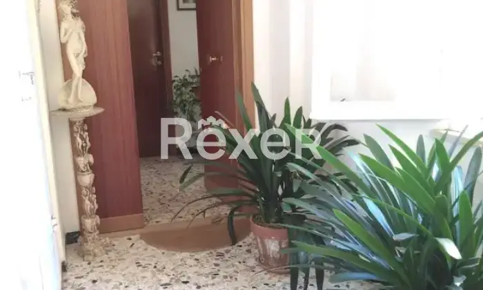 Rexer-Montecarotto-Due-appartamenti-in-vendita-in-via-Tito-Mei-a-Montecarotto-Altro