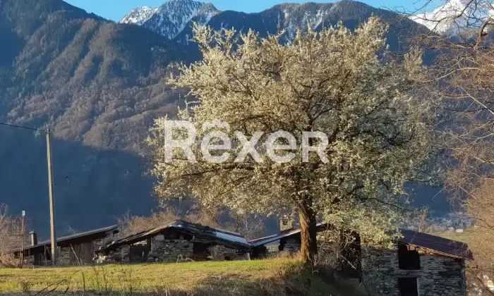 Rexer-Vendolo-Propriet-rustica-in-vendita-in-Via-Vendolo-a-Castione-Andevenno-Vendolo-Altro