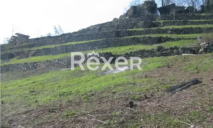 Rexer-Vendolo-Propriet-rustica-in-vendita-Altro