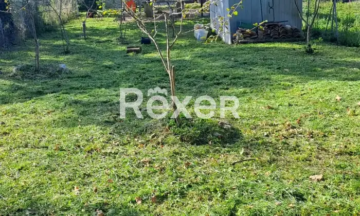 Rexer-Scansano-Immobile-in-piccolo-borgo-di-campagna-Giardino