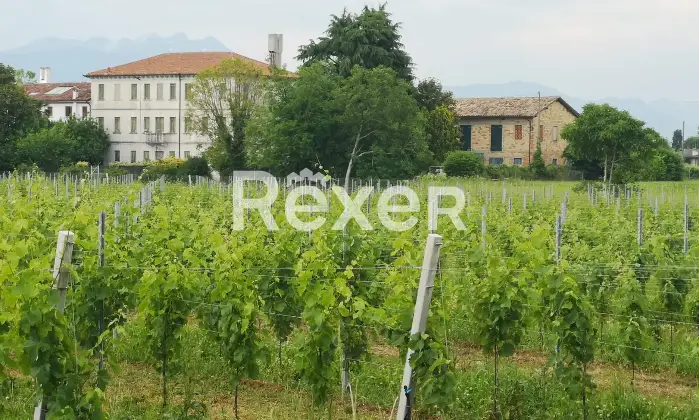 Rexer-Mansu-Casa-padronale-in-vendita-in-via-Perezzi-a-Mansu-Altro