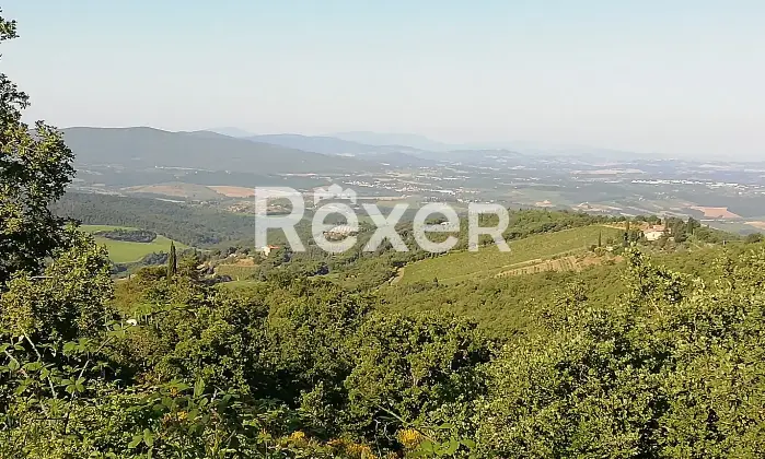 Rexer-Castellina-in-Chianti-Villa-dell-in-vendita-a-Castellina-in-Chianti-Altro