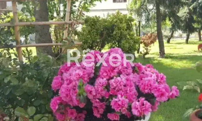 Rexer-Casteggio-Villa-in-vendita-in-Via-Caretta-a-Casteggio-Altro