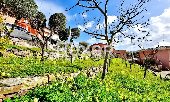 Rexer-Ozieri-Villa-indipendente-con-ampio-giardino-taverna-e-spazi-generosi-a-Ozieri-Altro