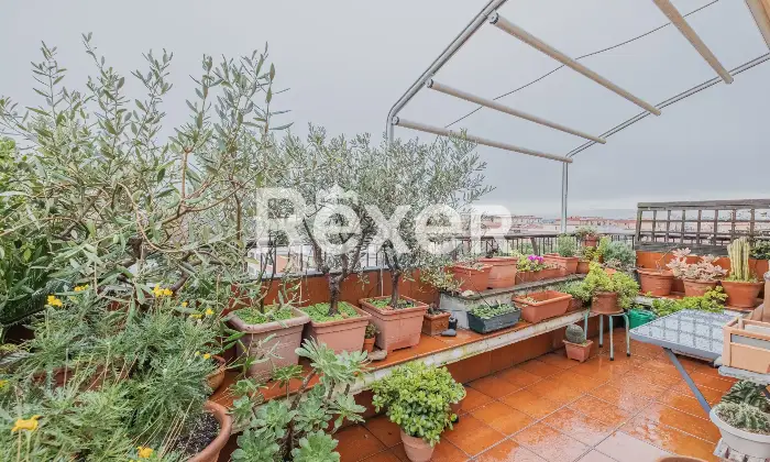 Rexer-Roma-NUDA-PROPRIETA-Appartamento-al-sesto-e-ultimo-piano-Terrazzo