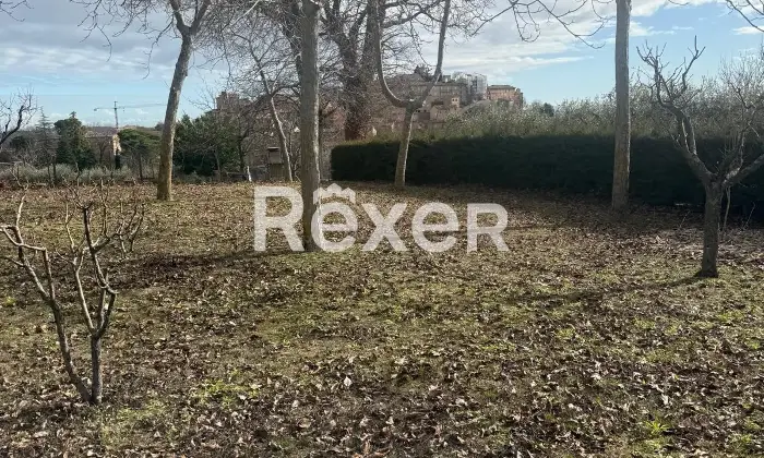 Rexer-SantAngelo-in-Pontano-Terreno-edificabile-in-vendita-in-via-Roma-a-SantAngelo-in-Pontano-Altro